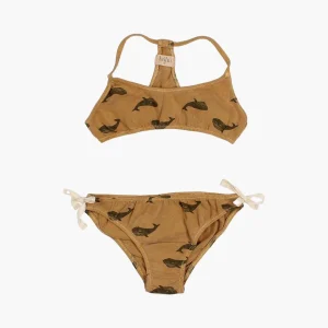 Bikini Whale Sun