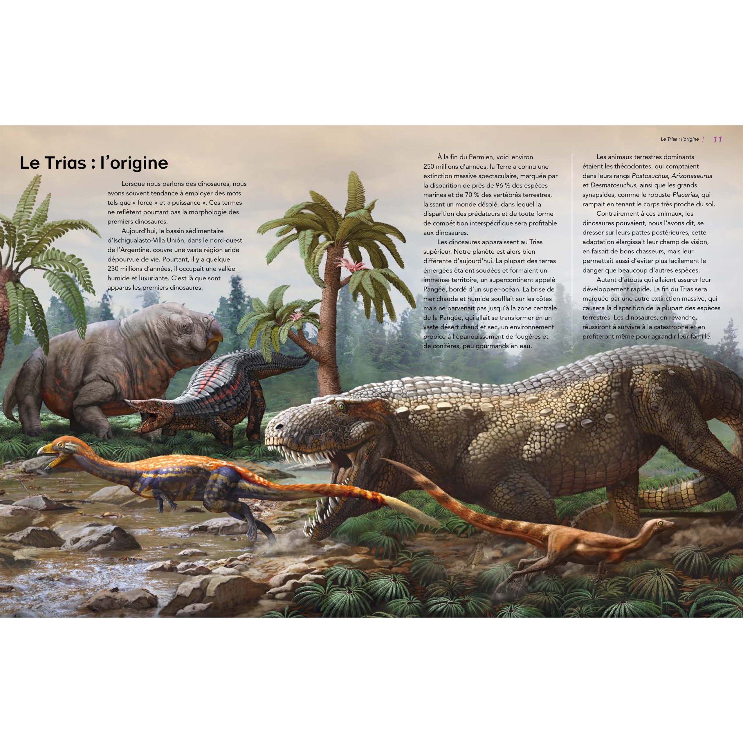 Dinosaures - Apparition, rayonnement, extinction – Image 5
