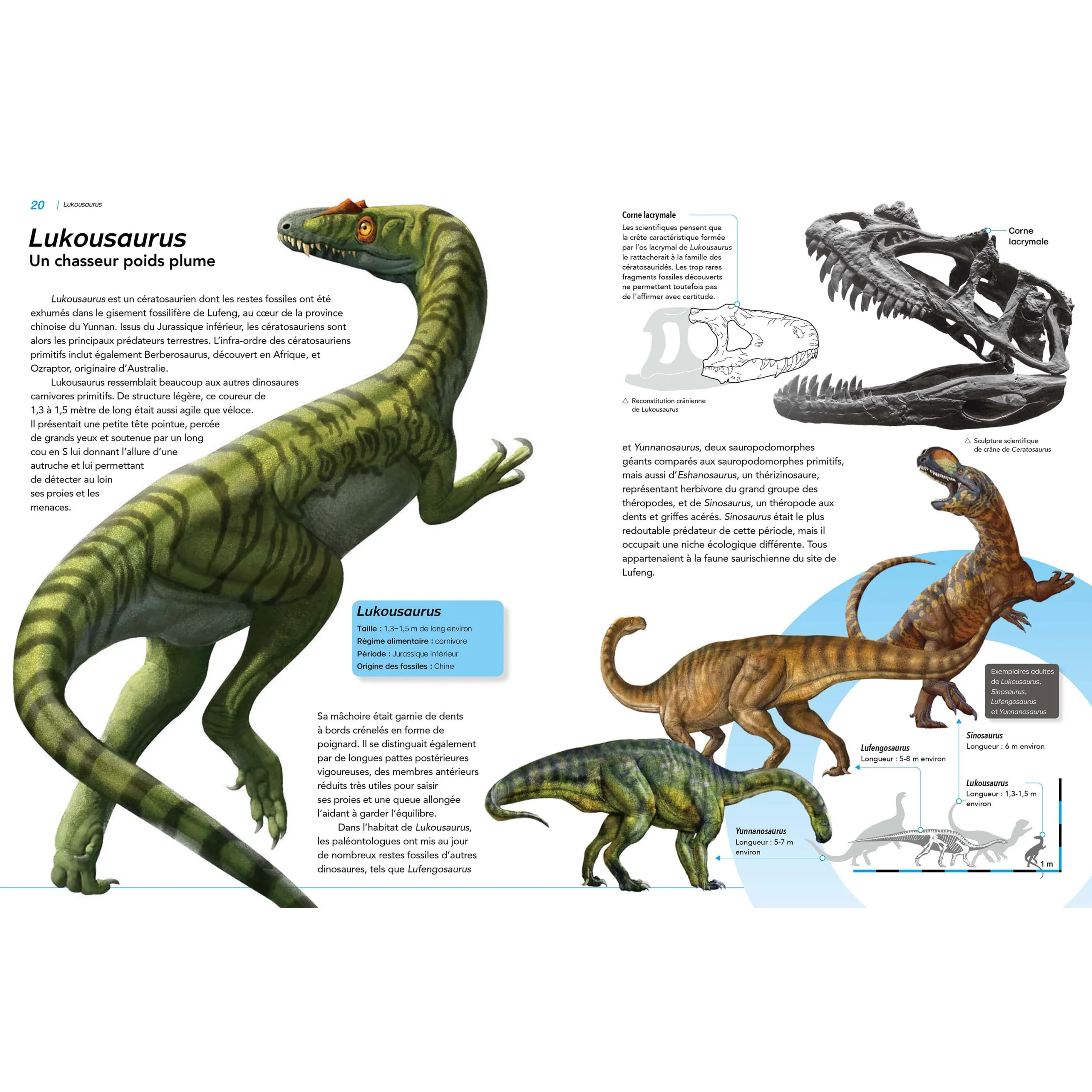 Dinosaures - Apparition, rayonnement, extinction – Image 8