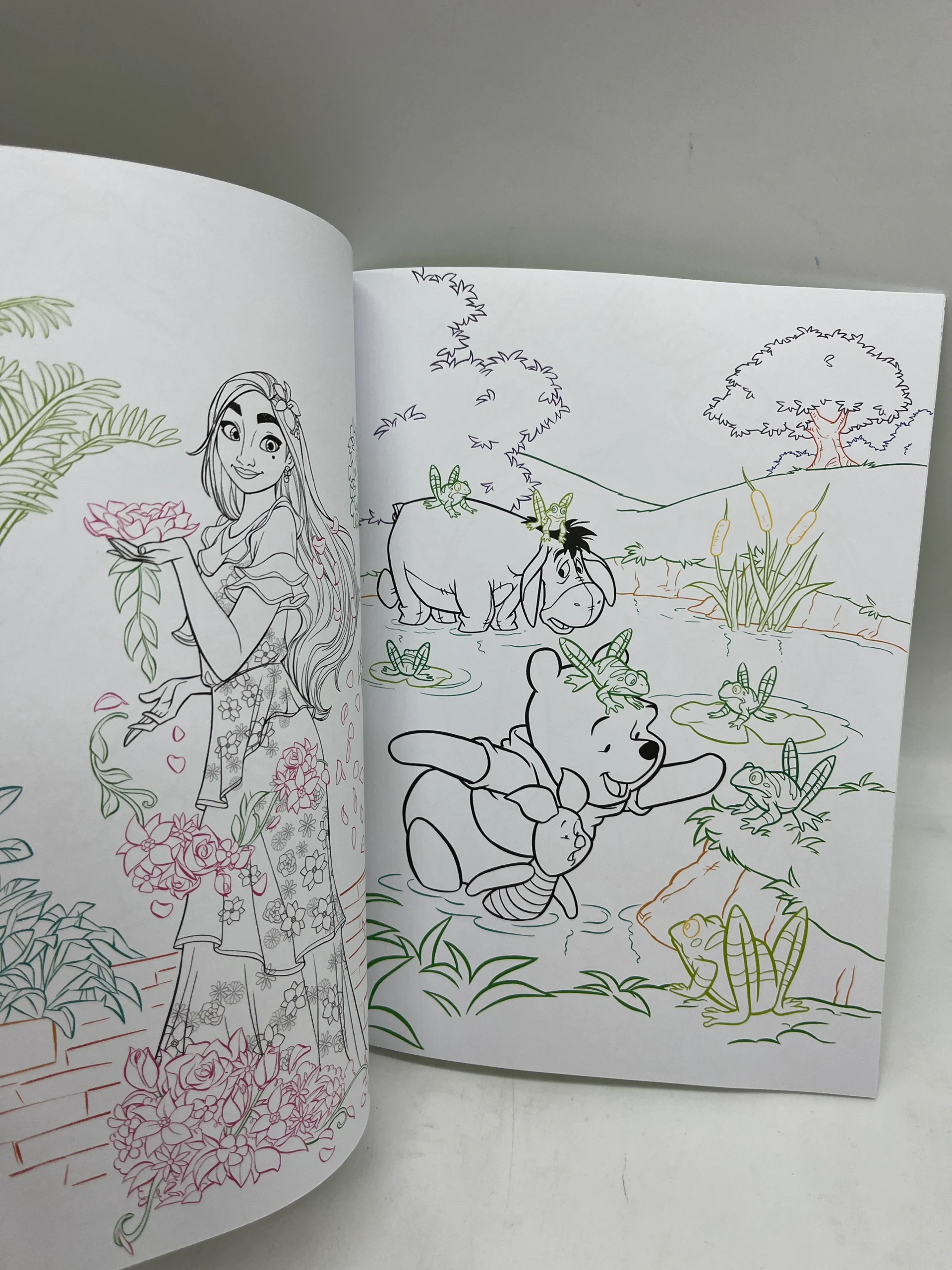 Magazine livre d’activité Disney Mes jolis coloriages thème La Nature activité Neuf – Image 3