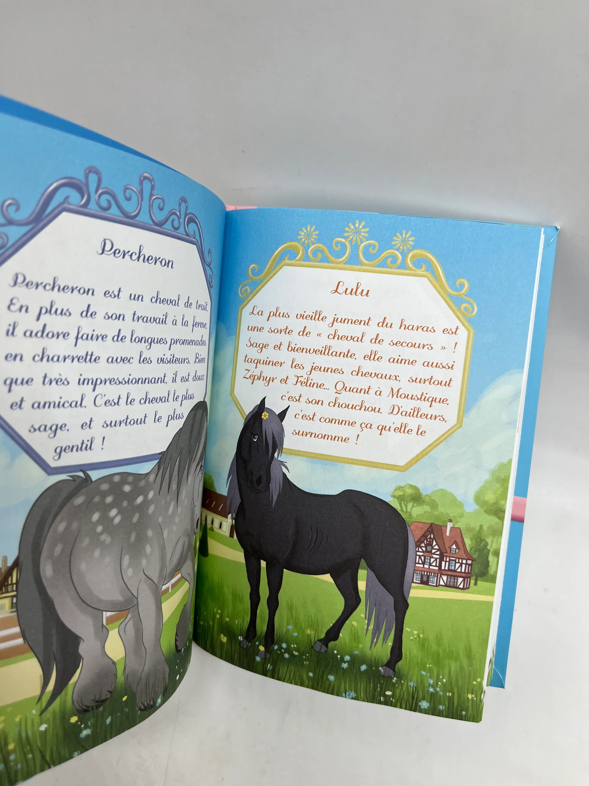 Livre histoire Ma bibliothèque rose Mes premières lectures Mes amis les chevaux Une journée à la mer Neuf – Image 4
