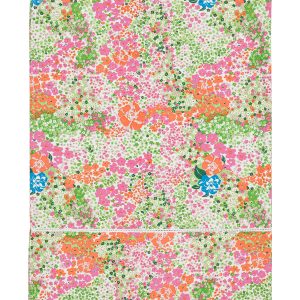 Nappe