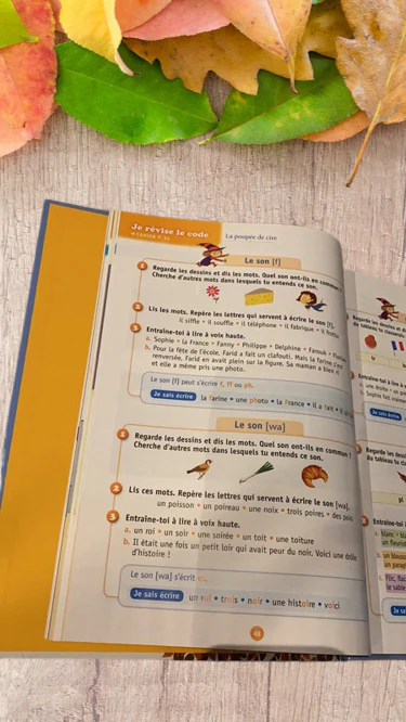 Livre Je lis avec Mona Niveau CE1 livre de la lecture Edition Magnard edition – Image 4
