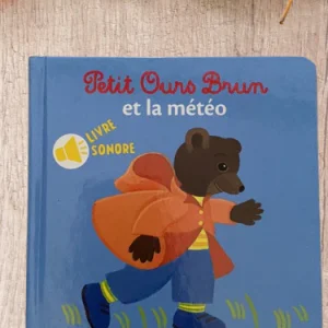 Livre Sonore Petit Ours Brun "La météo" neuf !
